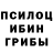 Псилоцибиновые грибы ЛСД Dmitro Scestopal