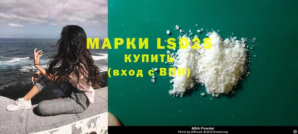 хмурый Аркадак