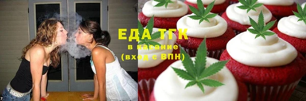 хмурый Аркадак