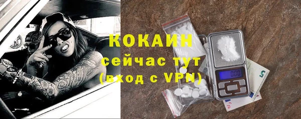 гидра Пестово