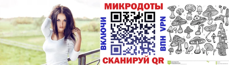 Галлюциногенные грибы Psilocybine cubensis  гидра ссылка  Венёв 